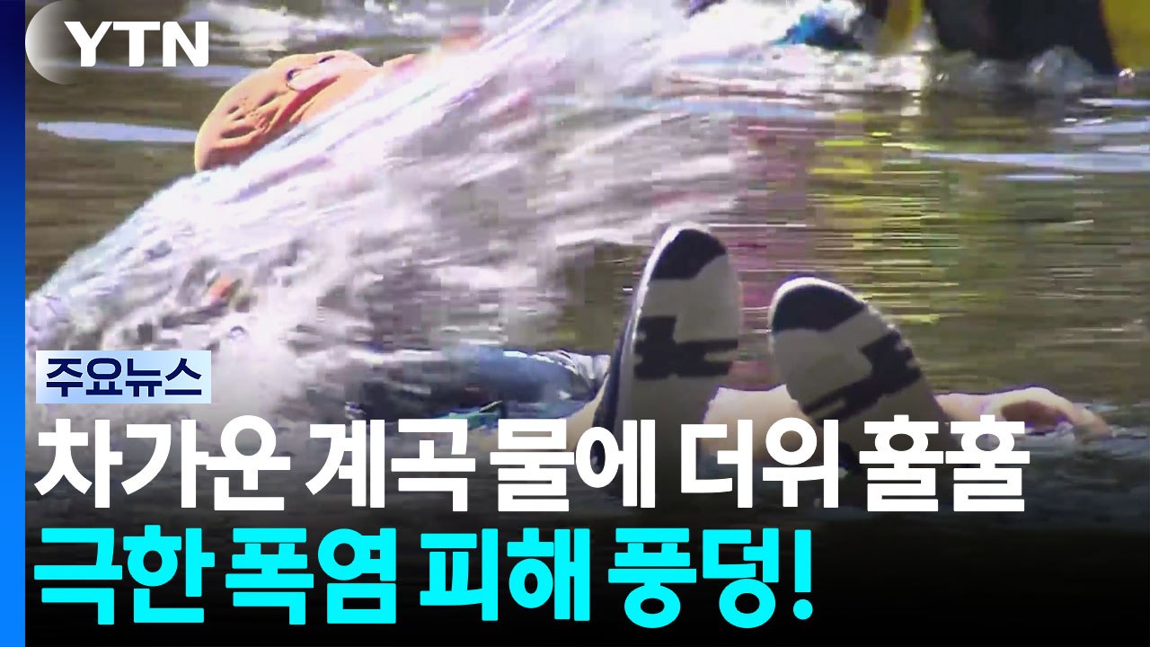 차가운 계곡 물에 더위 훌훌...극한 폭염 피해 풍덩! / YTN