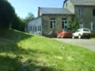 rapace en vol d'attaque