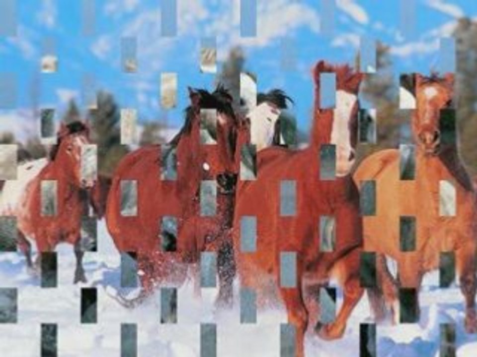 Vidéo chevaux_0001