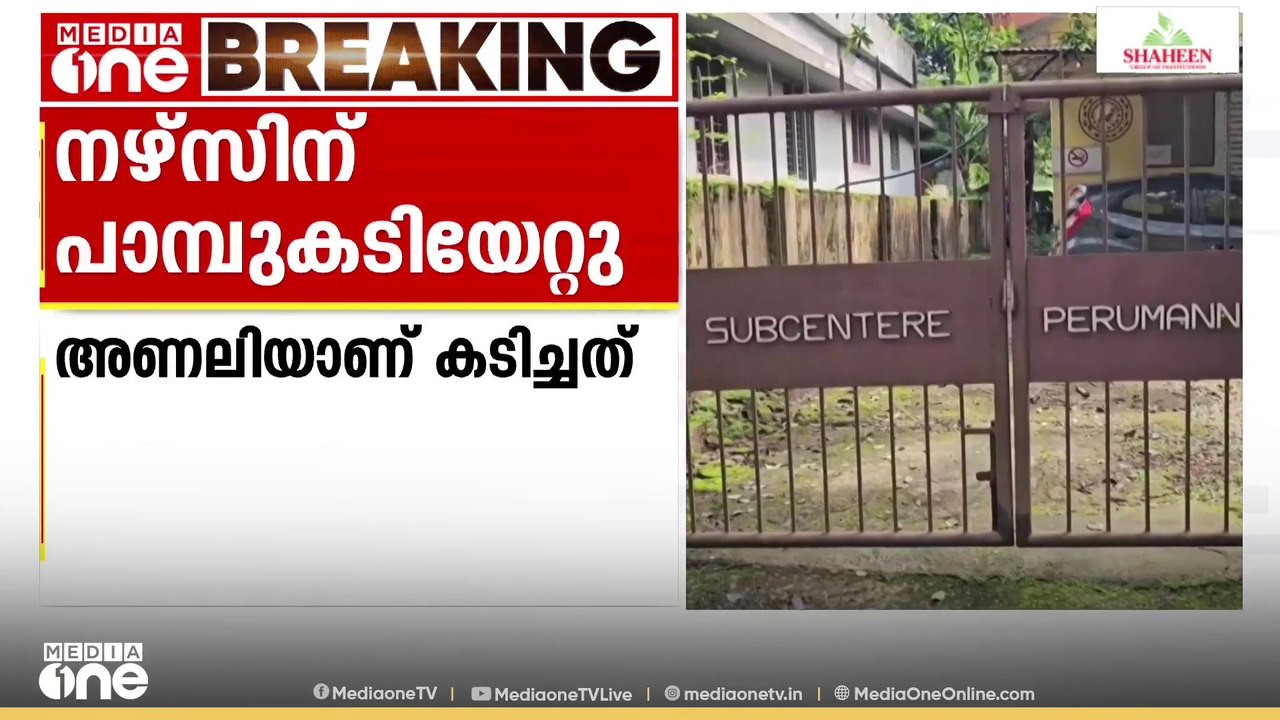 ഡ്യൂട്ടിക്കിടെ അണലിയുടെ കടിയേറ്റു; ജനകീയ ആരോഗ്യ കേന്ദ്രത്തിലെ നഴ്‌സ് ഗുരുതരാവസ്ഥയിൽ