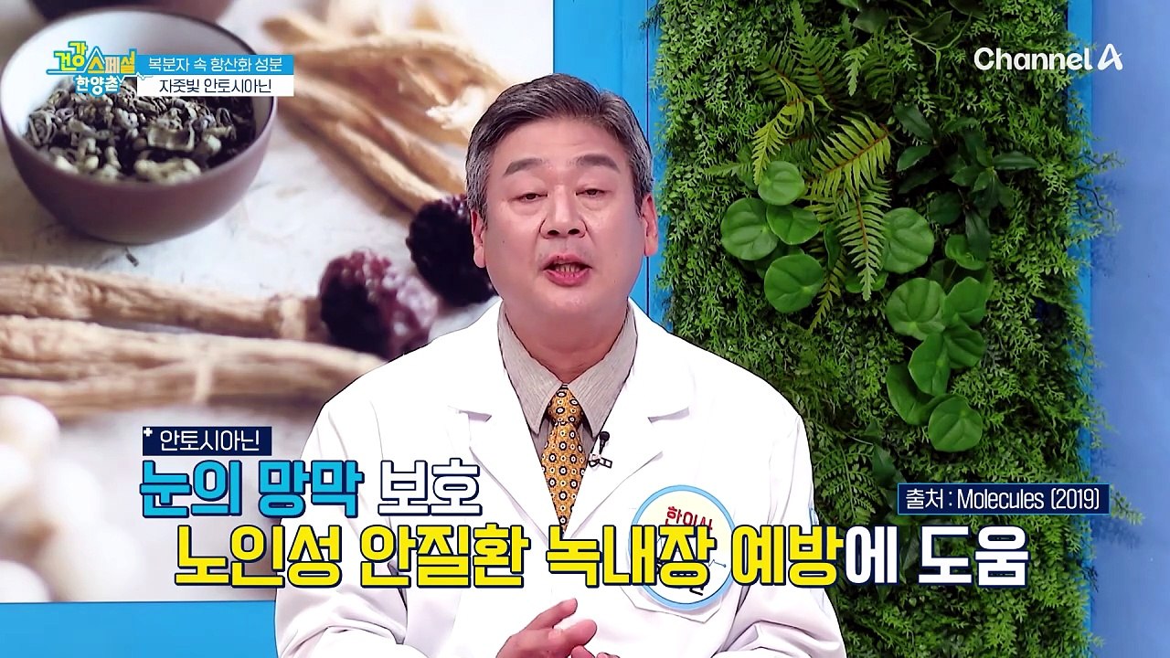 복분자 추출물 섭취가 혈관 염증에 미치는 영향은?