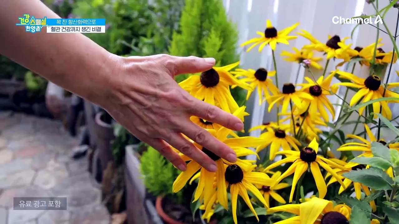 건강한 혈관을 만들기 위한 그녀의 습관을 소개합니다★