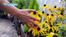 건강한 혈관을 만들기 위한 그녀의 습관을 소개합니다★