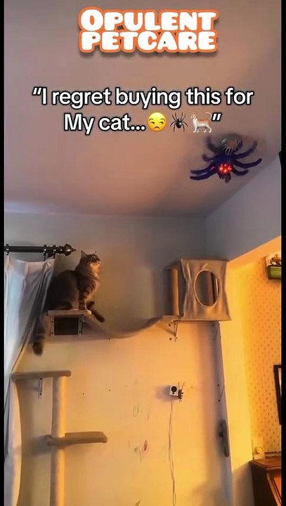 Remote-Controlled Wall-Climbing Spider Pet Toy — $19.23 (59% off) | Fun for Cats & Owners