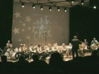 musique du film Cats par l'avenir pavillonnais