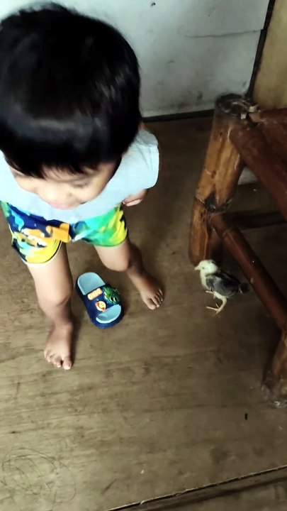 Naay piso 🐥 si Grey