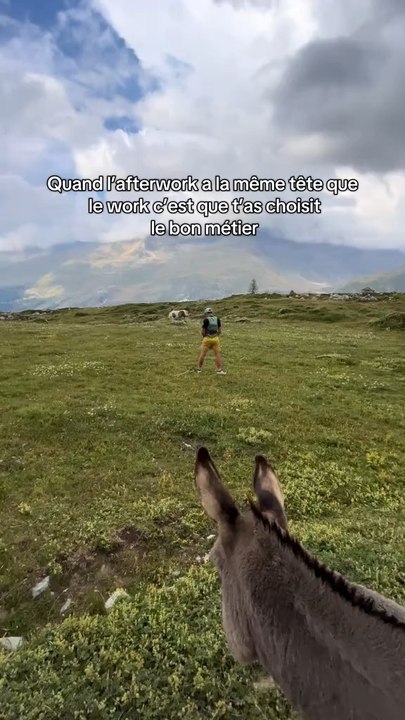 Meilleur job