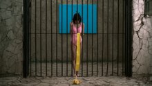 The Prison Cell and the Leotard