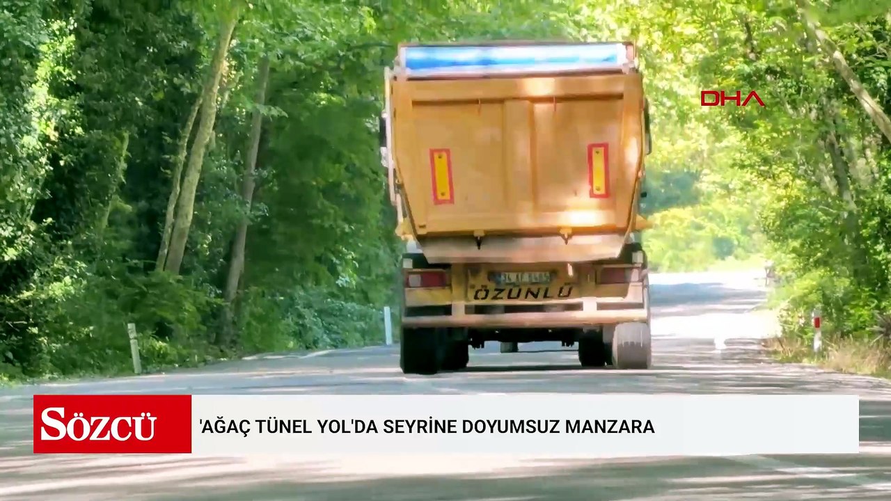 'Ağaç tünel yol'da seyrine doyumsuz manzara
