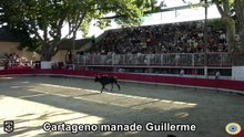 2016 07 28 Cartageno