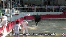 2016 07 28 Adilou