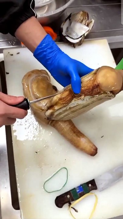 geoduck Seafood Lover: Master Chef Cleans & Slices Fresh Geoduck Sashimi