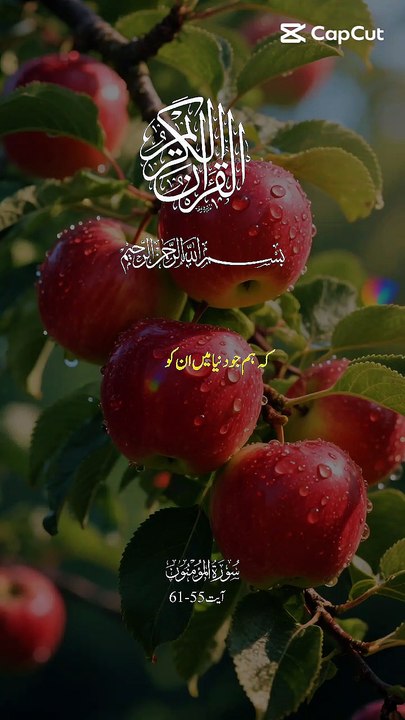 Surah Al-Mu'minun Verses 55-61 🍎 | سورۃ المؤمنون آیات 55 سے 61 اردو ترجمہ | #shorts #quran