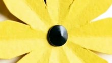 InShot_20260706_131124101