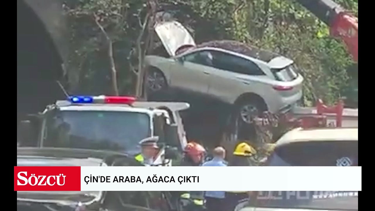 Çin'de araba, ağaca çıktı