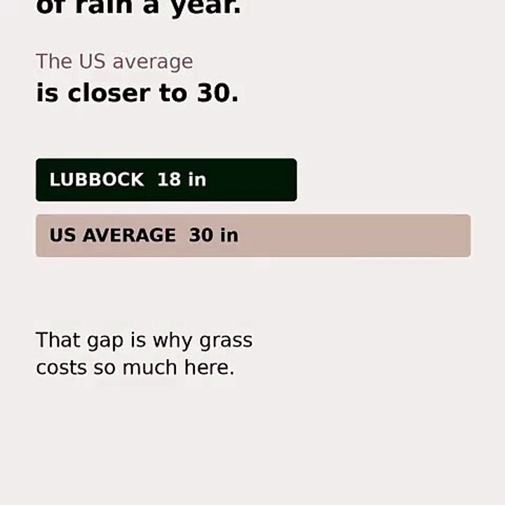 Lubbock Landscaping Costs, Permits & Grass Types Explained (2026 Guide)
