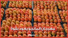 الإسماعيلية تستعد لمهرجان المانجو 4.. تفاصيل الفعاليات وموعد الانطلاق