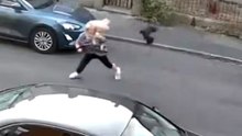 Aggro-Krähe jagt Frau im Kreis herum