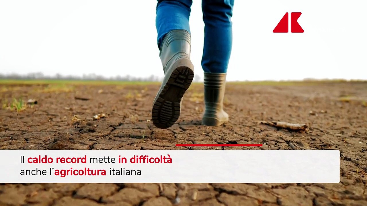 Caldo record taglia produzione ortofrutta