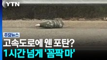 고속도로 왠 포탄?...1시간 넘게 '꼼짝 마' / YTN