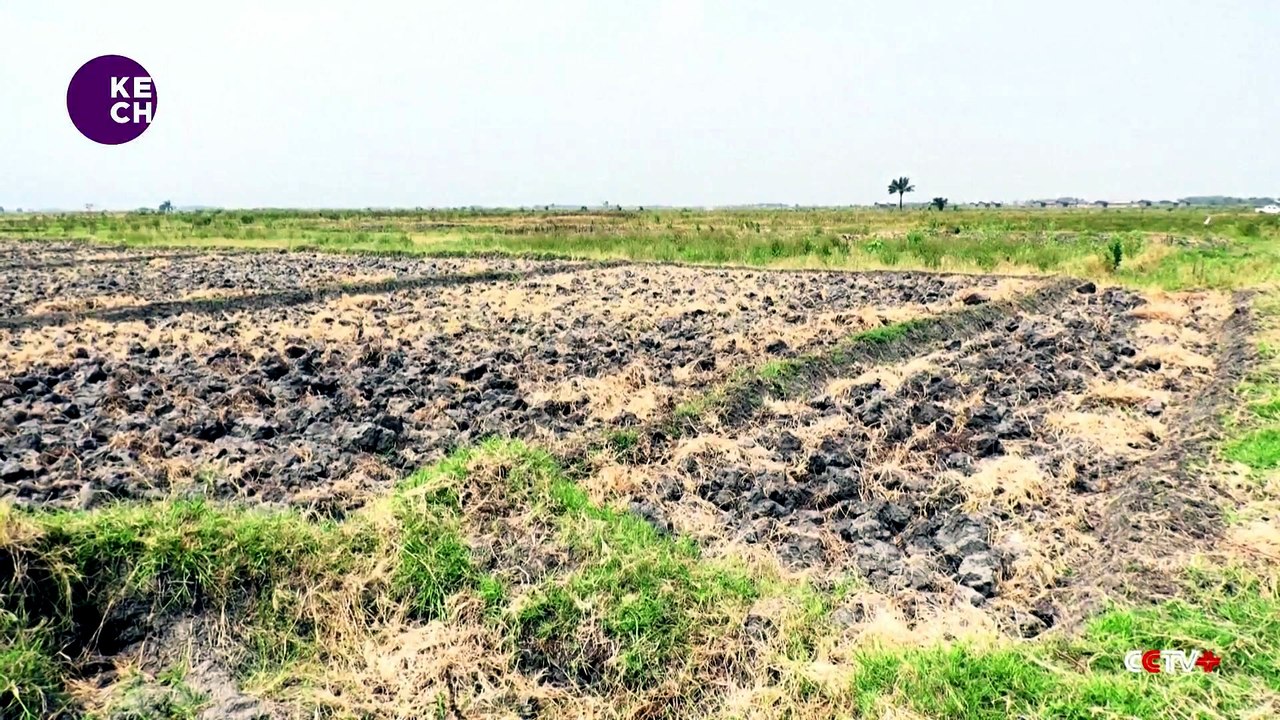 Soil salinization threatens farmlands, livelihoods in Burundi