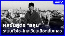ผลชันสูตร “ฮลุน” ระบบหัวใจ-ไหลเวียนเลือดล้มเหลว | เข้มข่าวเย็น | 6 ส.ค. 69