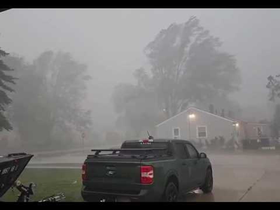 Tree Falls on Power Lines During Powerful Storm in Livonia, Michigan