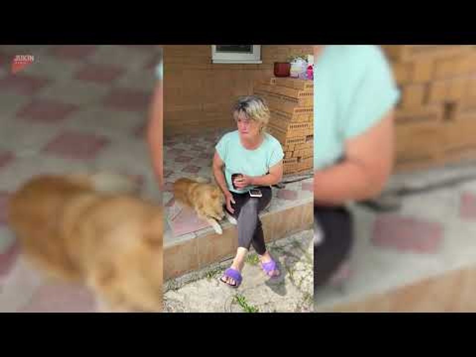 Dog Dips Paw Into Owner's Coffee