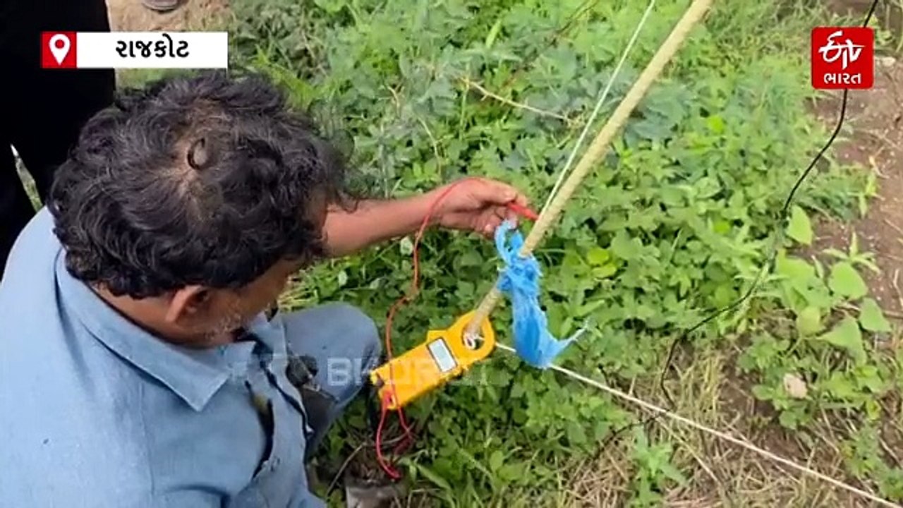 વિજલાઈન નીચે ખેતી બની જોખમી, રાજકોટના લક્ષ્મીનગરમાં 220 KV લાઈનથી ફેન્સિંગમાં કરંટ આવતો હોવાનો ખેડૂતનો આક્ષેપ