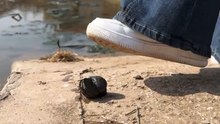 Snail crush😍👟