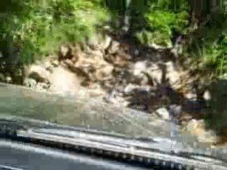 Rando Allier 2008 IMG_0423