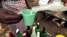 Région-Yamoussoukro / Zambakro s’apprête à accueillir la célébration de la fête de l’indépendance de la Côte d’Ivoire