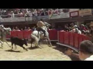 100 taureaux à lunel 12 juillet 2008