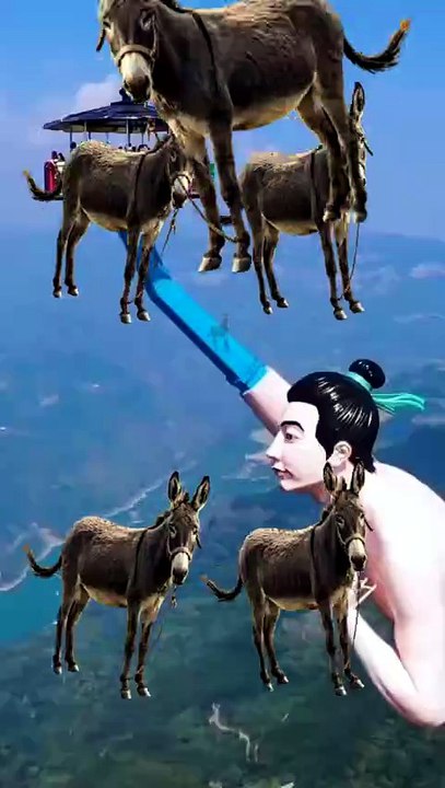 SpinningMule - #funnyanimals #pets #fyp #SpinningMule