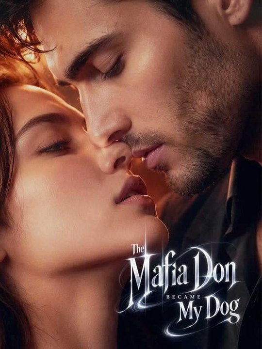 The Mafia Don Became My Dog :|| New Movie |🔝
