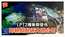 LPT2撞象群受伤 司机拟起诉大道公司