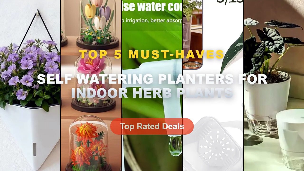 Why Everyone Is Buying Self Watering Planters F...