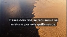 Os dois rios que se RECUSAM a se misturar.