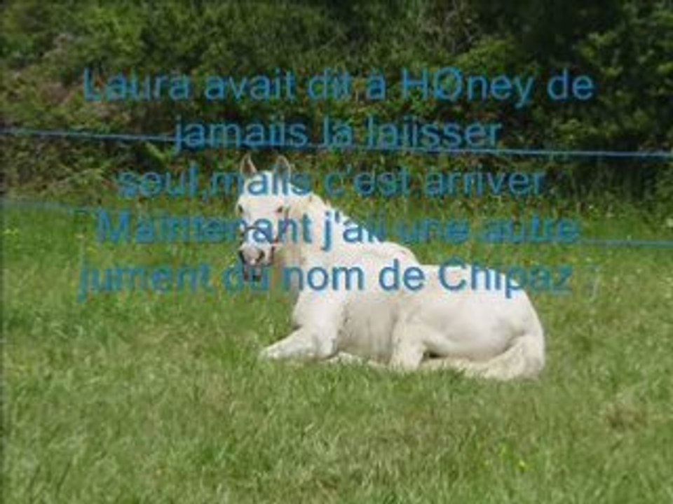 Laura  & Honey une belle equipe