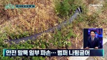 [천상철의 리포트]행인과 말다툼하다…‘급분노’ 승용차 돌진