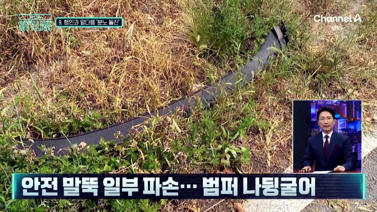 [천상철의 리포트]행인과 말다툼하다…‘급분노’ 승용차 돌진