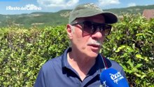Lutto per Francesco Guccini da Pavana: video