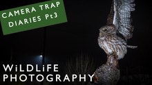 The Trials & Tribulations of Camera Trapping !! | DSLR Camera Trap Diaries 2024 No3