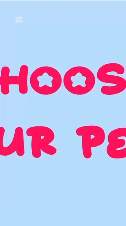Choose your pet !