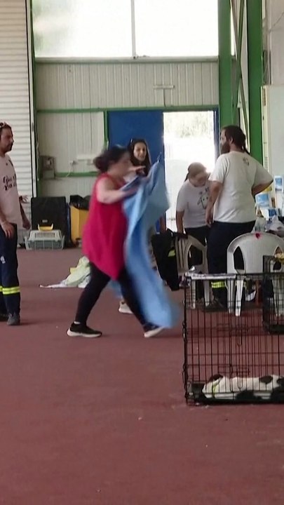 Pets stranded as wildfires continue to sweep across Athens