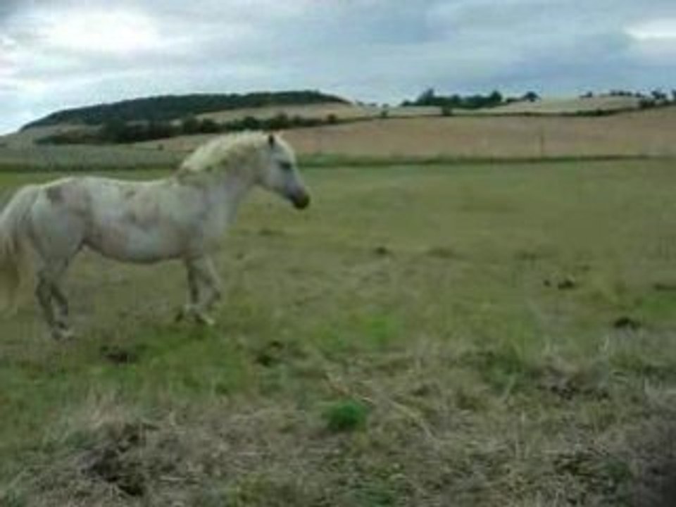 Jeu_gros 132
