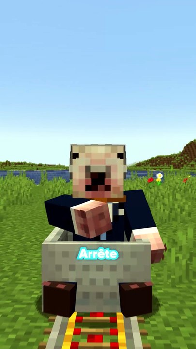 Minecart infini