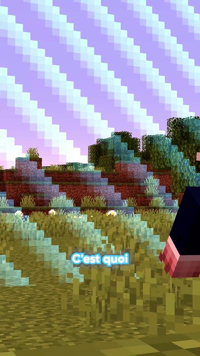 Plus loin possible Minecraft