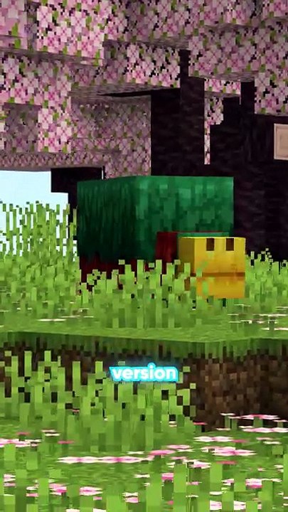 Plus petit bloc de Minecraft