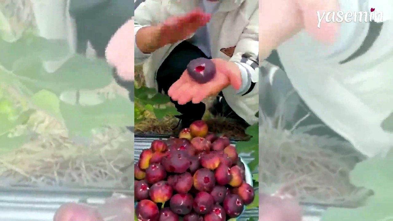 İncirin kabuğunu soyanlar yandı! Meğer her derde devaymış